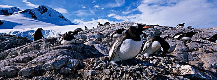 任天堂将于儿童节为《斯普拉遁3》开启全新赛季